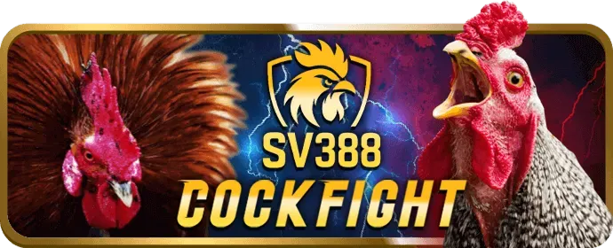 Hình ảnh minh họa quy trình giải quyết tranh chấp tại 168win bet